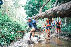 BIB: 
                            <button type="button" onclick="openModal(25372238)" class="btn btn-primary btn-sm float-right btn-popup" data-toggle="modal" data-target=".modal-high-quality">
                        <i class="fas fa-shopping-cart"></i> Add to Cart
                    </button>
                                            <button type="button" onclick="isThisMe(25372238, true)" class="btn btn-success btn-sm float-right btn-popup btn-isme hidden" data-toggle="tooltip" data-placement="bottom" title="นี่คือรูปของคุณใช่ไหม คลิกที่นี่เพื่อเอาเข้าอัลบั้ม">
                        <i class="fas fa-plus"></i> Add to album
                    </button>
                    <button type="button" onclick="isThisMe(25372238, false)" class="btn btn-warning btn-sm float-right btn-popup btn-isnotme hidden">
                        <i class="fas fa-ban"></i> Remove from album
                    </button>